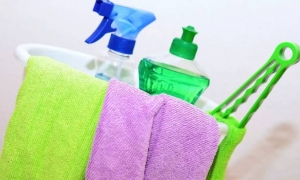 Kako do čistog doma bez kemikalija? Čišćenje parom ubija grinje i plijesan