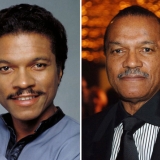 Billy Dee Williams kao Lando Calrissian, (1980 - 2014)