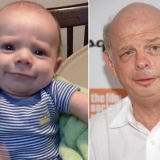 Wallace Shawn