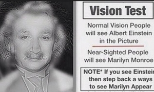 Test vida: Vidite li Alberta Einsteina ili Marilyn Monroe?