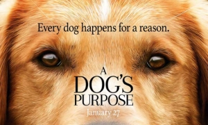Smisao života jednog psa: A Dogs Purpose