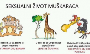 Seksualni život muškarca