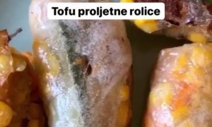 Tofu proljetne rolice