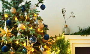 Iz udobnosti vašeg doma možete kupovati čarobne božićne kuglice u Zara Home 